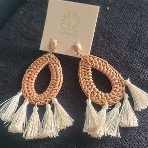 NEW Earrings.   Never worn